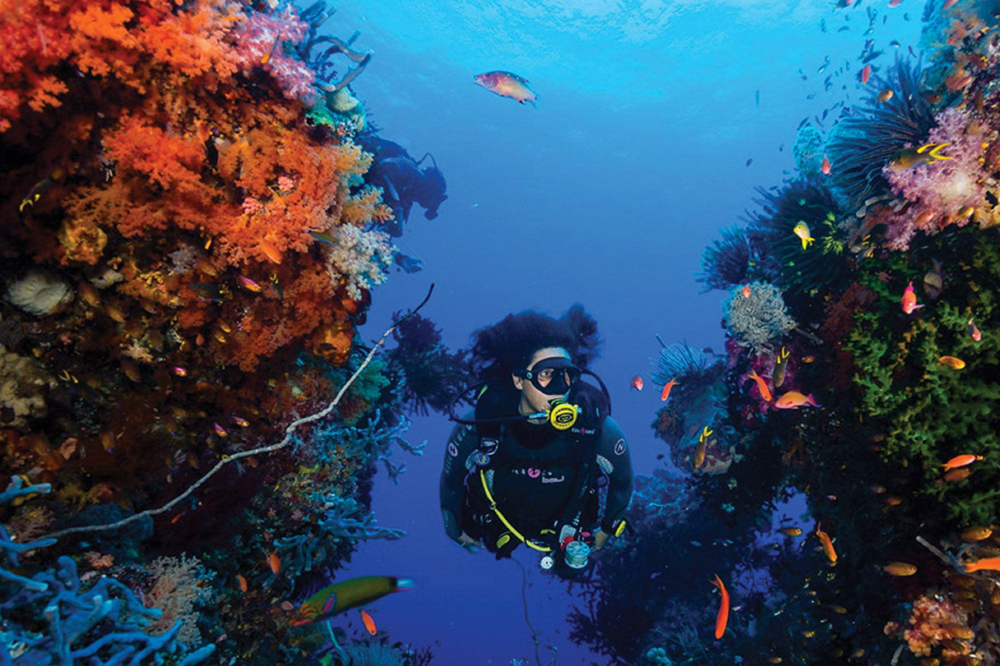 해양 생물 - Raja Ampat Aggressor II